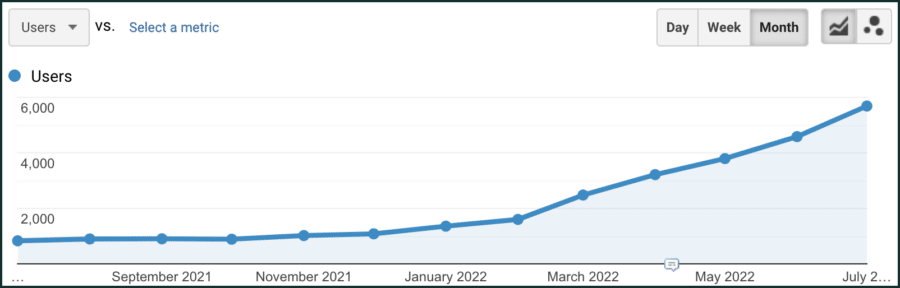 ROI SEO case study