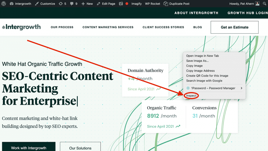 How to double check no-index