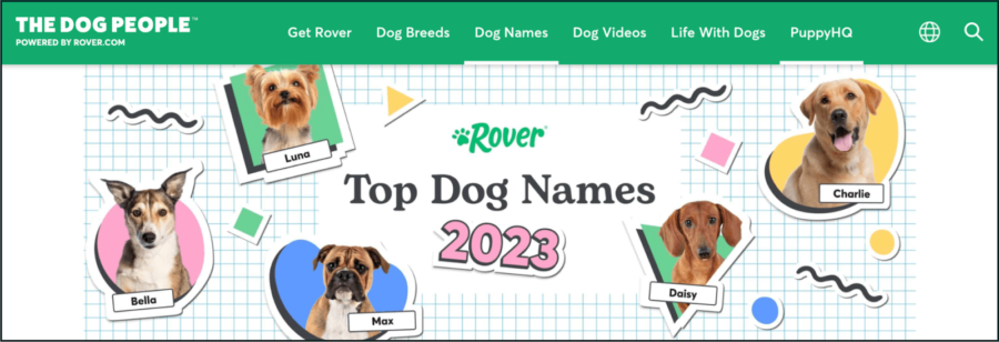 link bait rover dog names report