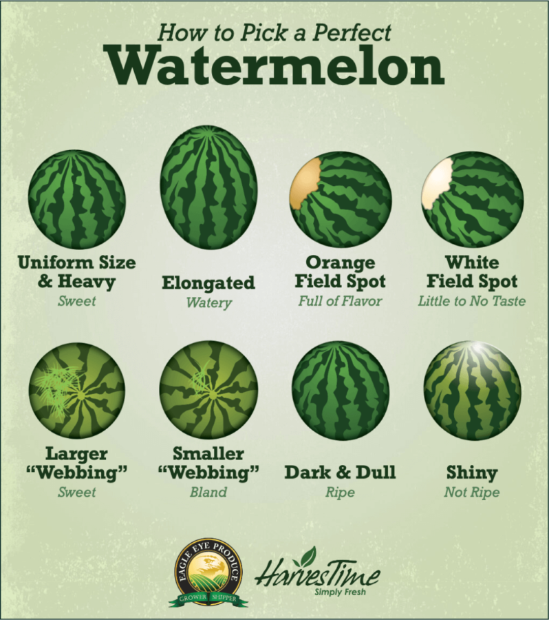 link bait watermelon infographic