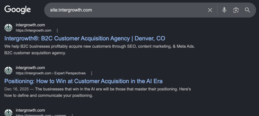 Google site search for an ecommerce seo audit