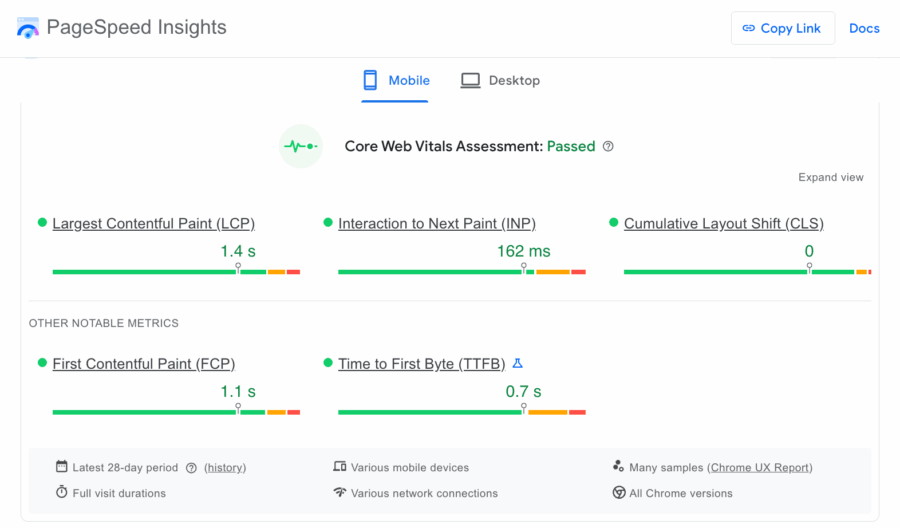 page speed insights audit